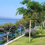 Mandolina Marusici (Split-Dalmatia)